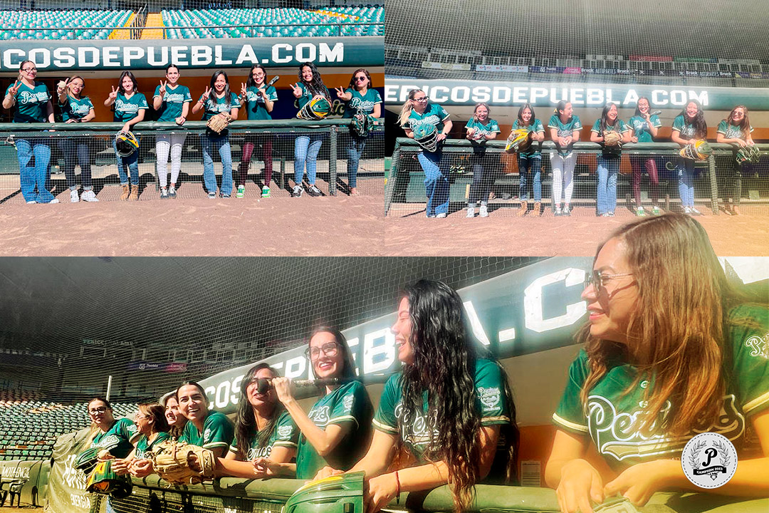 Pericos_Oficial tweet picture