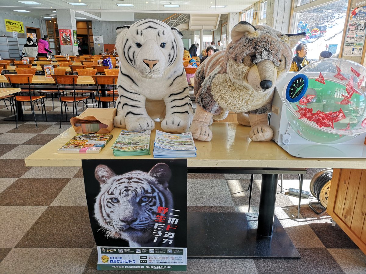 本日は長野県佐久市にあるスキー場 スキーガーデン「パラダ」に