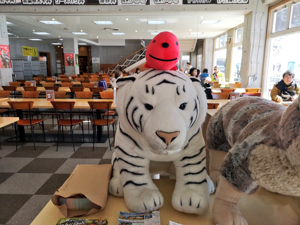 本日は長野県佐久市にあるスキー場 スキーガーデン「パラダ」に