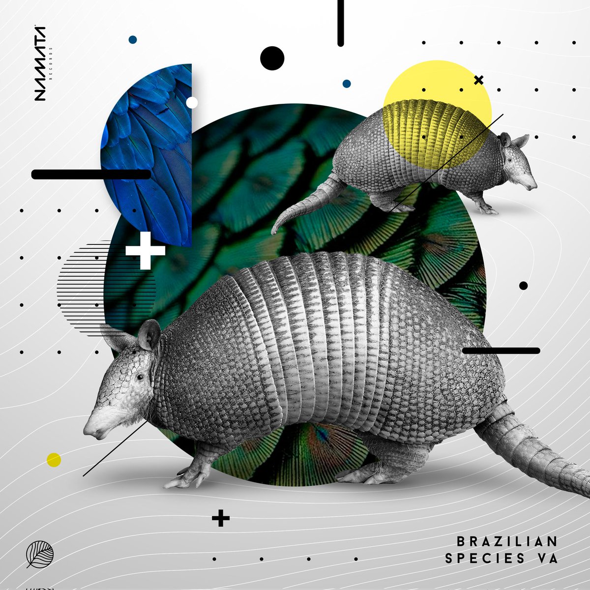 j.williandj tweet media