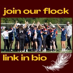 Phoenix is interested in expanding our coaching staff this season! We are looking for assistant coaches to work with DA #jointheflock tr.ee/QmjKMACKBF