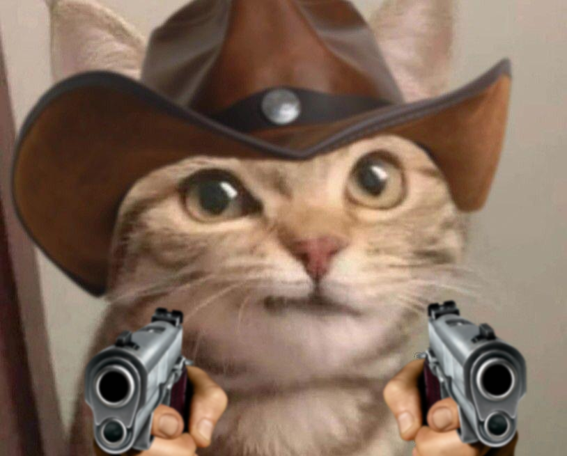 MeowdySolana's tweet photo. @theheavydave $meowdy https://t.co/GCpHTKeMLM