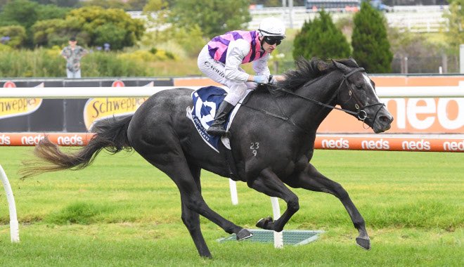 Grenville Stud (@grenvillestud) on Twitter photo Best of luck to Shane & Cassie Oxlade and connections of Sghirripa in the Newmarket Handicap <a href="/FlemingtonVRC/">Victoria Racing Club</a> today.
Sghirripa was bred and raised at Grenville and a <a href="/mmsnippets/">Magic Millions</a> graduate 🌟🌟 Best of luck to Shane & Cassie Oxlade and connections of Sghirripa in the Newmarket Handicap <a href="/FlemingtonVRC/">Victoria Racing Club</a> today.
Sghirripa was bred and raised at Grenville and a <a href="/mmsnippets/">Magic Millions</a> graduate 🌟🌟