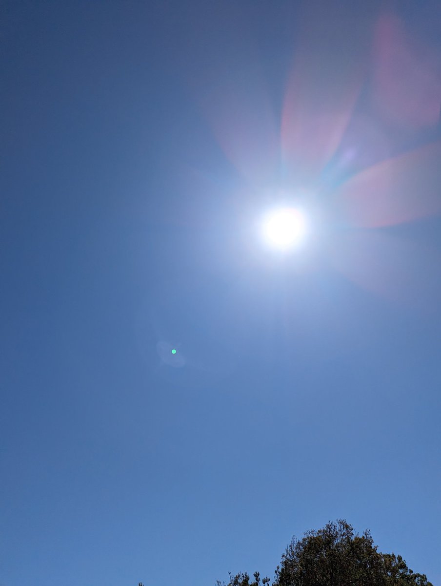 Liam58205205's tweet photo. How good is today!! Like summer has finally arrived. Sun, pool, cricket, AFL, NRL, NBL... A full day of sports and floating https://t.co/q21x1H1d4u