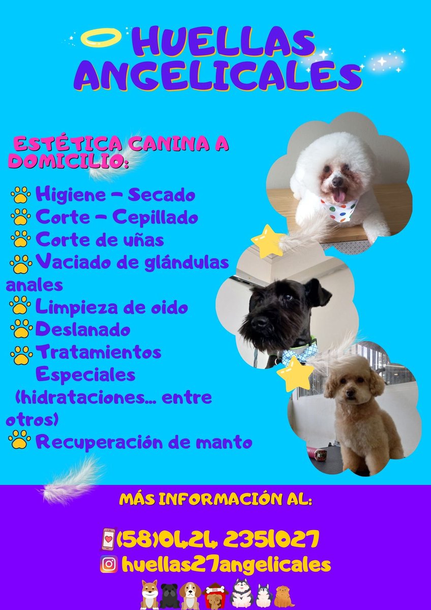 AlexaGomezDos's tweet photo. Estética canina a domicilio #Caracas #SeBuscaEmpleo #DisponibilidadInmediata
Contacto @dianaluzardo9 https://t.co/YDXvffYU1q