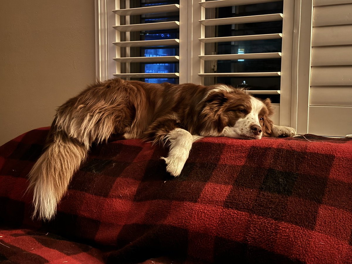 walkerthompson tweet media