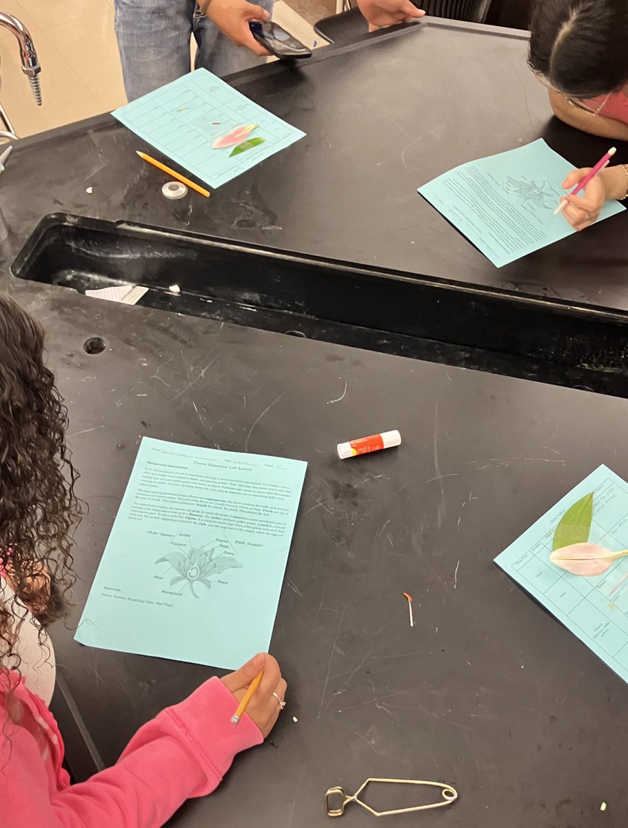 NataliaESL's tweet photo. In Ms Fox’ class today newcomers dissected flowers and developed disciplinary literacy! #7StepsCoaching @DonnaISD @Seidlitz_Ed https://t.co/aIbucAk3I1