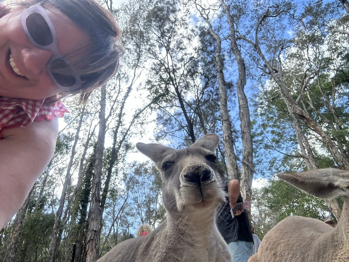 JodyPadarCPA's tweet photo. Hello from downunder! #taxtwitter #radicalcpa https://t.co/pgCevapTN5