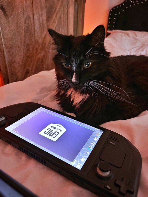 Waiting for those servers to come back online #FortniteChapter5Season2 #Fortnite https://t.co/iKgBDA<a href="/tag/fortnite"class="tags"><span>#fortnite</span></a><a href="/tag/fortnitechapter5season2"class="tags"><span>#fortnitechapter5season2</span></a>