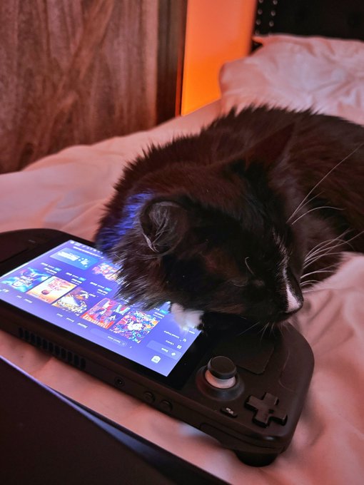 Waiting for those servers to come back online #FortniteChapter5Season2 #Fortnite https://t.co/iKgBDA<a href="/tag/fortnite"class="tags"><span>#fortnite</span></a><a href="/tag/fortnitechapter5season2"class="tags"><span>#fortnitechapter5season2</span></a>