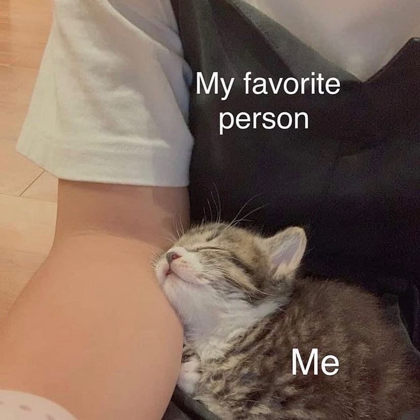 Punch Cat (@punchingcat) on Twitter photo 