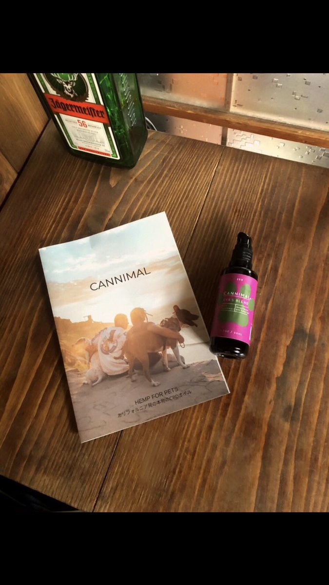 amiamichoocoo's tweet photo. じぃちゃん猫が旅の準備を始めました
食べなくなり、水を飲まなくなるのは
魂が肉体を離れて旅立つ準備をしている証
そこに無理して食べさせたり飲ませたりすると逆に身体が疲れてしまい最期が苦しくなってしまいます
少し前から動物用CBDオイルを使っています
穏やかです
#緩和ケア #CANNIMAL https://t.co/xmSyZdFRMU