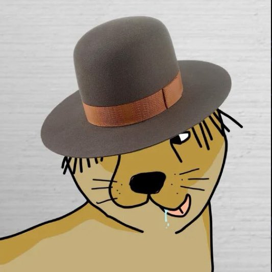 DougWitHet $WIT tweet media