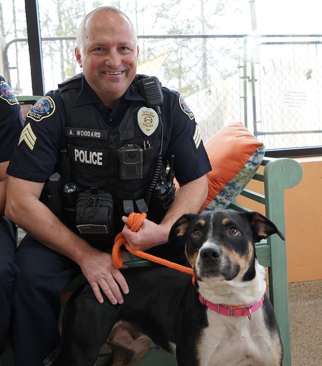 denisedillon tweet media