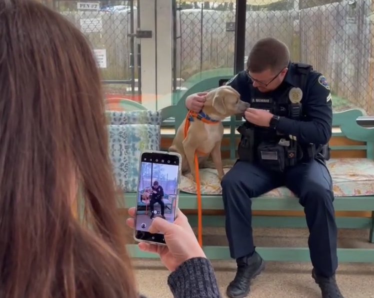 denisedillon tweet media