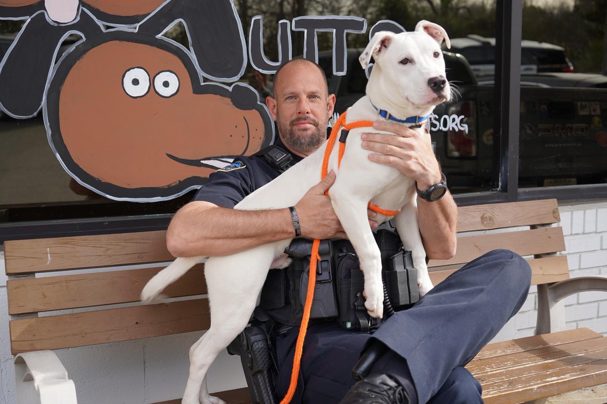 denisedillon tweet media