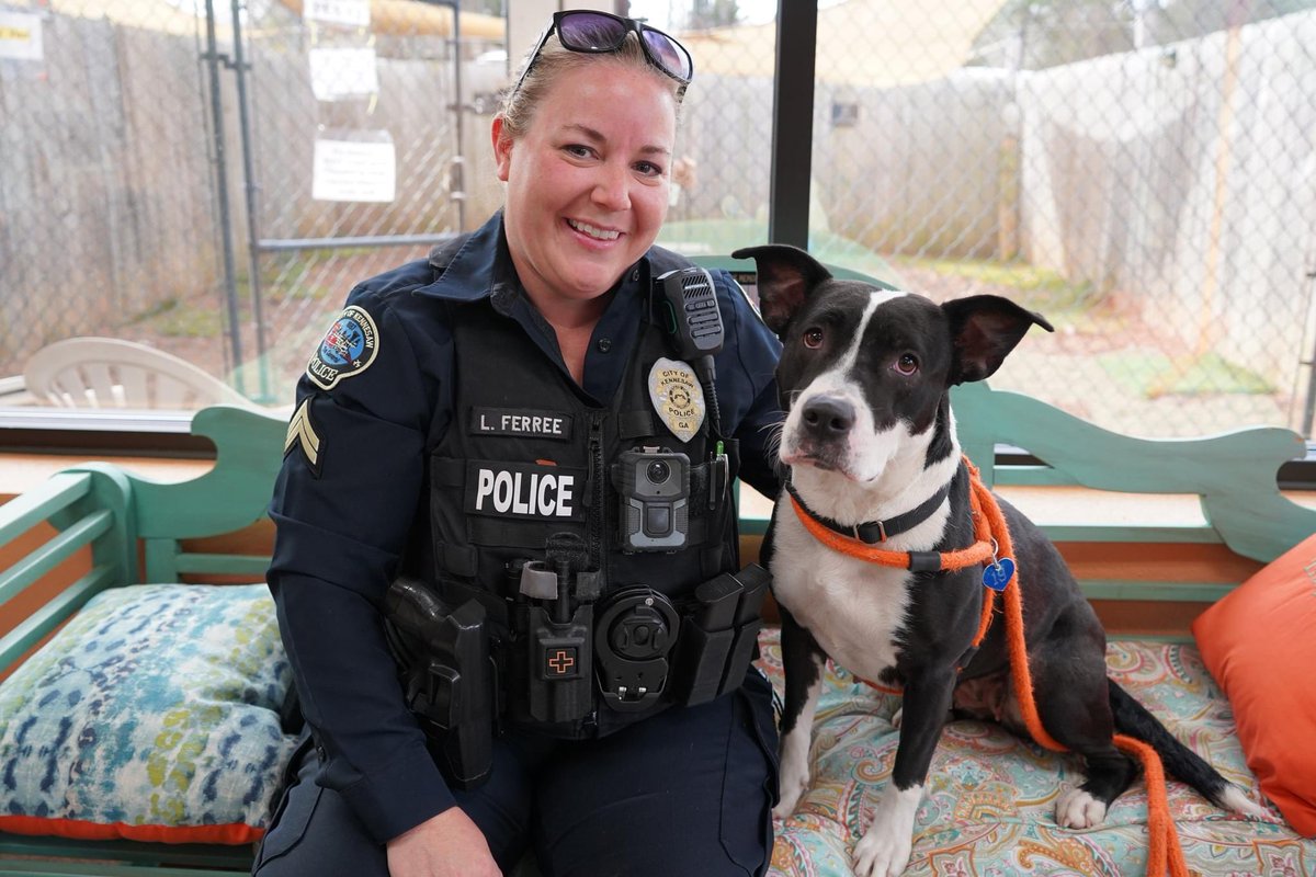 denisedillon (@dillonfox5) on Twitter photo You may have noticed <a href="/KennesawPolice/">Kennesaw Police</a> posing with cats and dogs on social media. They’re hoping it helps animals at <a href="/MostlyMuttsATL/">Mostly Mutts</a> find forever homes! <a href="/FOX5Atlanta/">FOX 5 Atlanta</a> You may have noticed <a href="/KennesawPolice/">Kennesaw Police</a> posing with cats and dogs on social media. They’re hoping it helps animals at <a href="/MostlyMuttsATL/">Mostly Mutts</a> find forever homes! <a href="/FOX5Atlanta/">FOX 5 Atlanta</a>