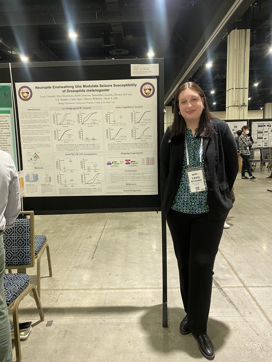 lexishill's tweet photo. Come to poster 1797 to hear about glia and seizures! #TAGC24 https://t.co/GW2KyZX95Z