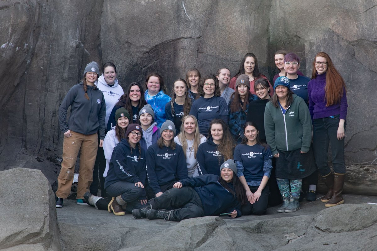 Alaska SeaLife Center tweet media