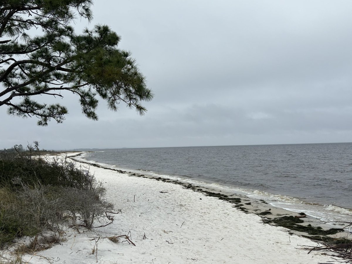 tonyduckworthsr's tweet photo. I had a great day exploring Panacea, FL on my birthday. The seafood was great. The wind made me squint. #DoubleNickle https://t.co/k2m4oxX4mu