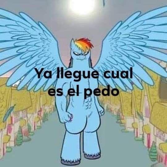 cherrydraft's tweet image. Yo el lunes, cuando x persona me pidió "dar la cara":