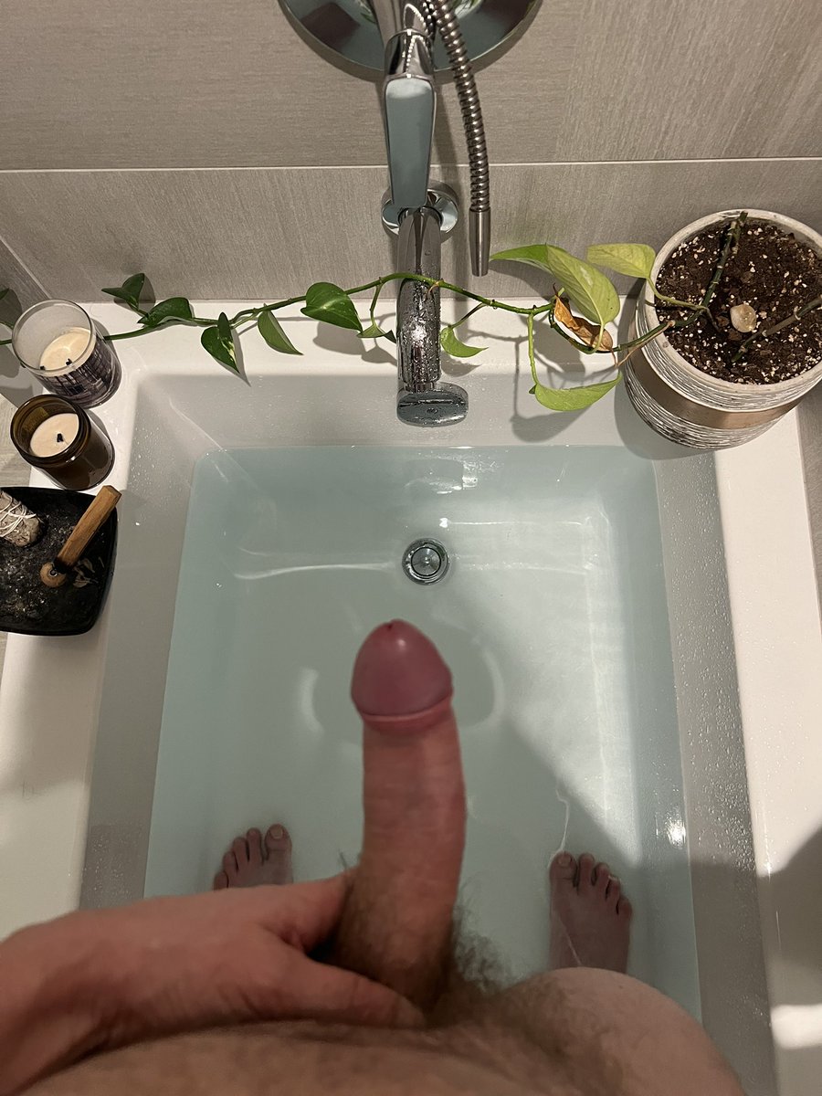 Incredible_Finn's tweet photo. Bath time ! https://t.co/PTPFwLGQBq