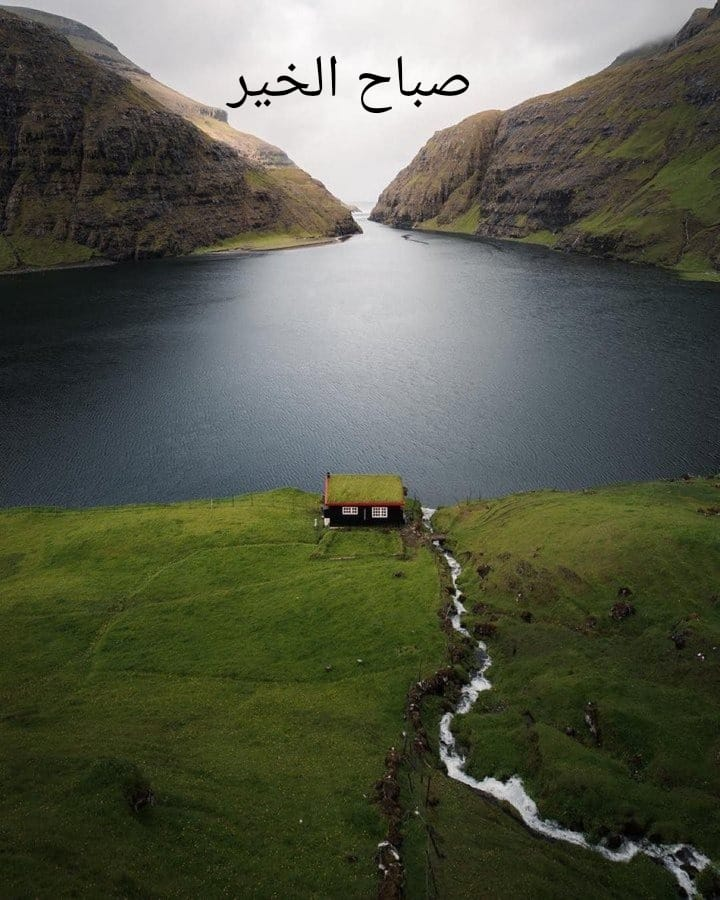 #صباح_الخيرᅠ