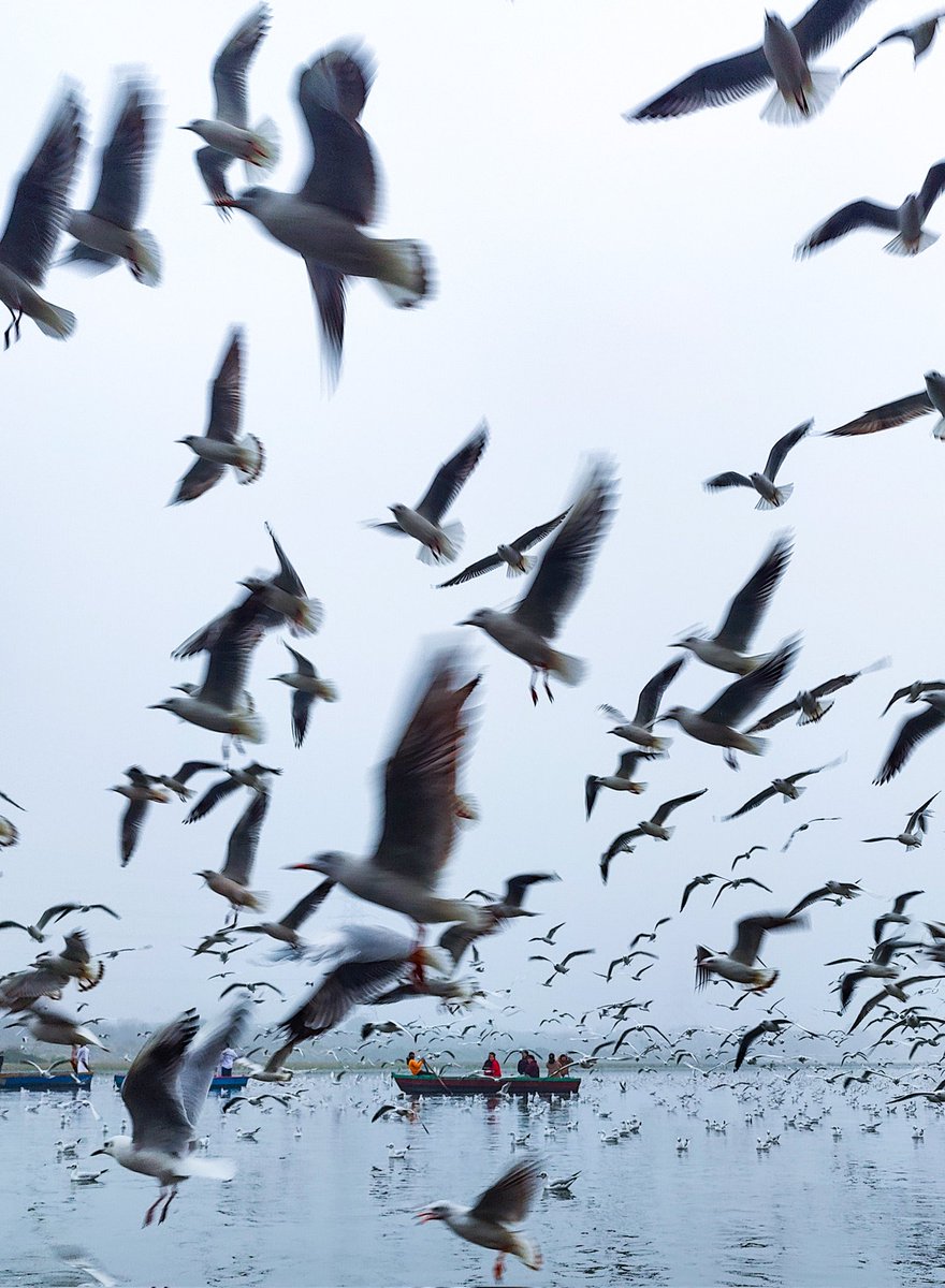 Yamuna Ghat Shot on OnePlus @oneplus