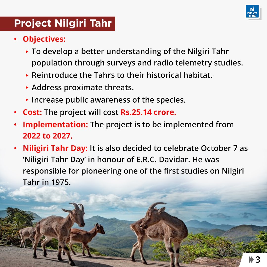 Happy morning 🚔🚗🚕⚠️ Nilgiri tahr, the pride of Anamalai tiger reserve. Tourists coming to Valparai are informed to GO SLOW in the ghat road particularly in 9-15 hair pin bends. Rash drivers and vehicle will be penalised. ❗️@tnforestdept #ProjectNilgiriTahr #TNstateanimal