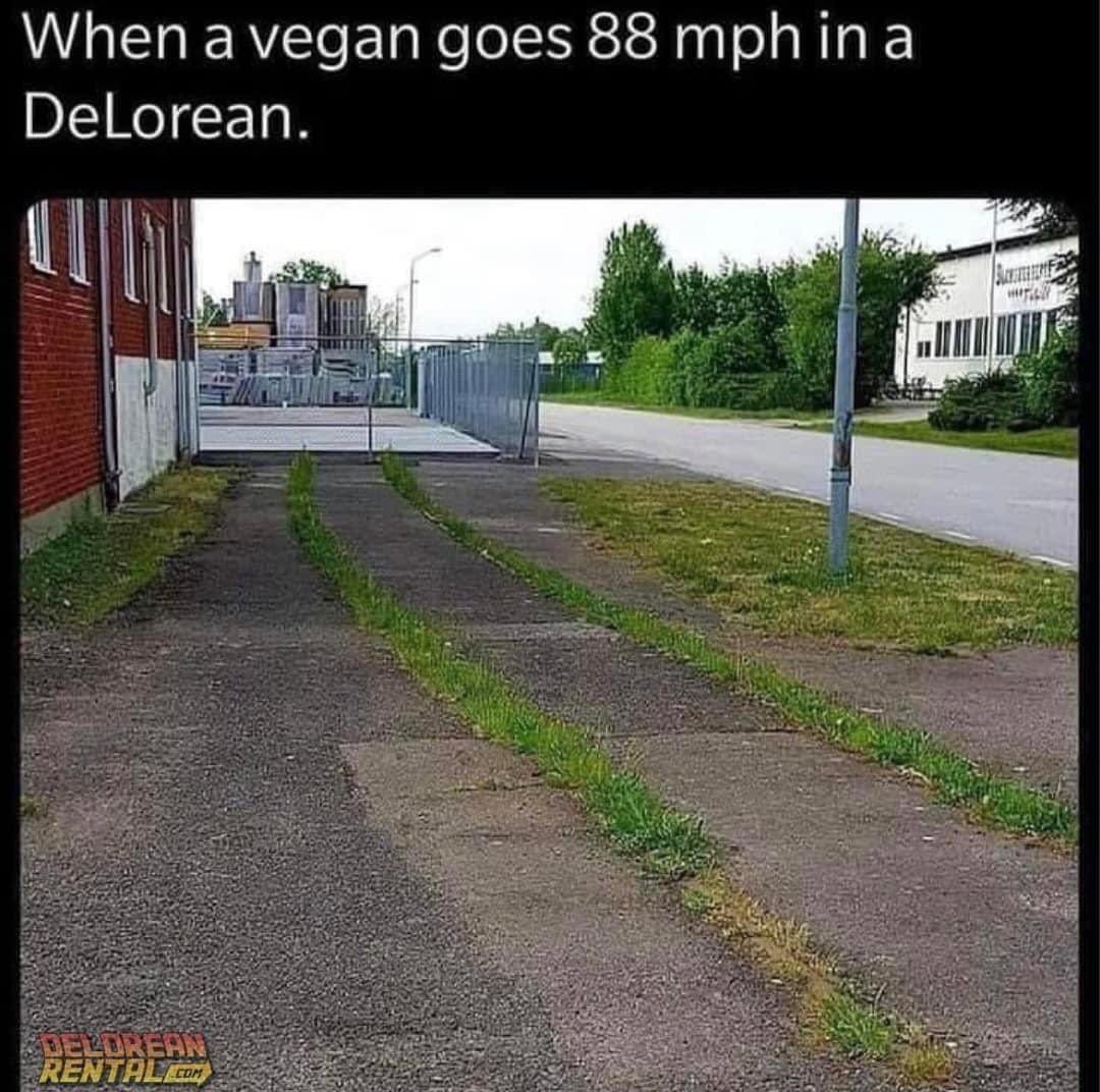 "Good Time" Stevie McKeown (@goodtimestevie) on Twitter photo 