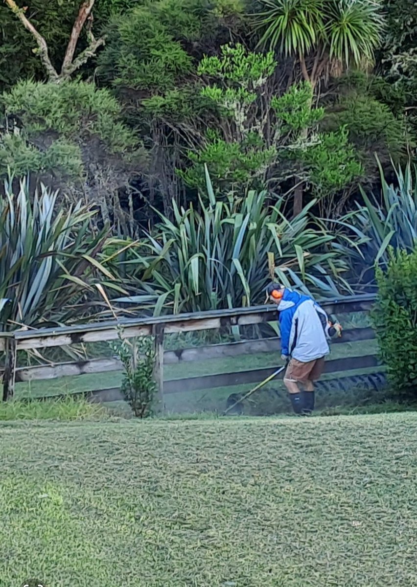 Youth in Transition tweet media