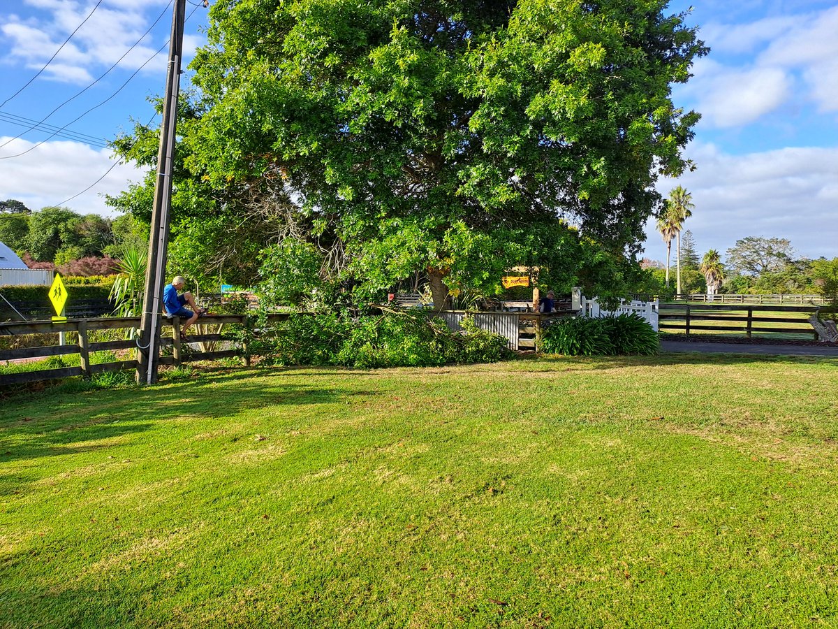 Youth in Transition tweet media