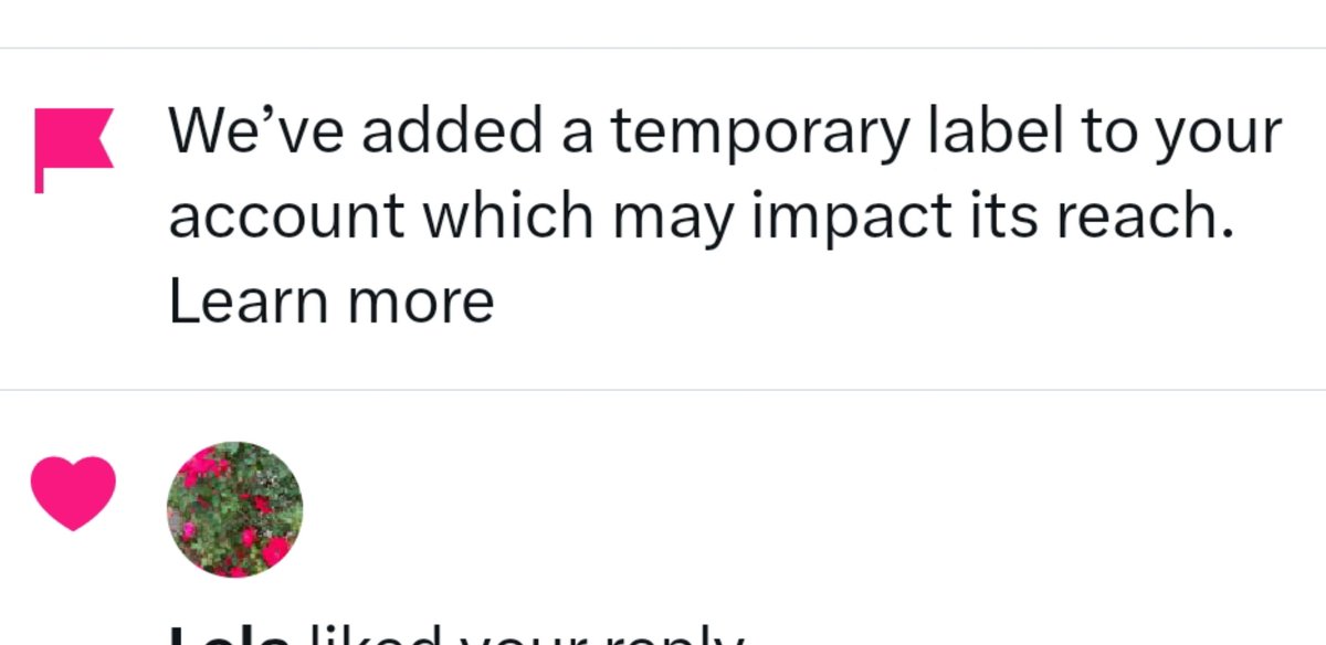 Otis Driftwood 🐕 tweet media