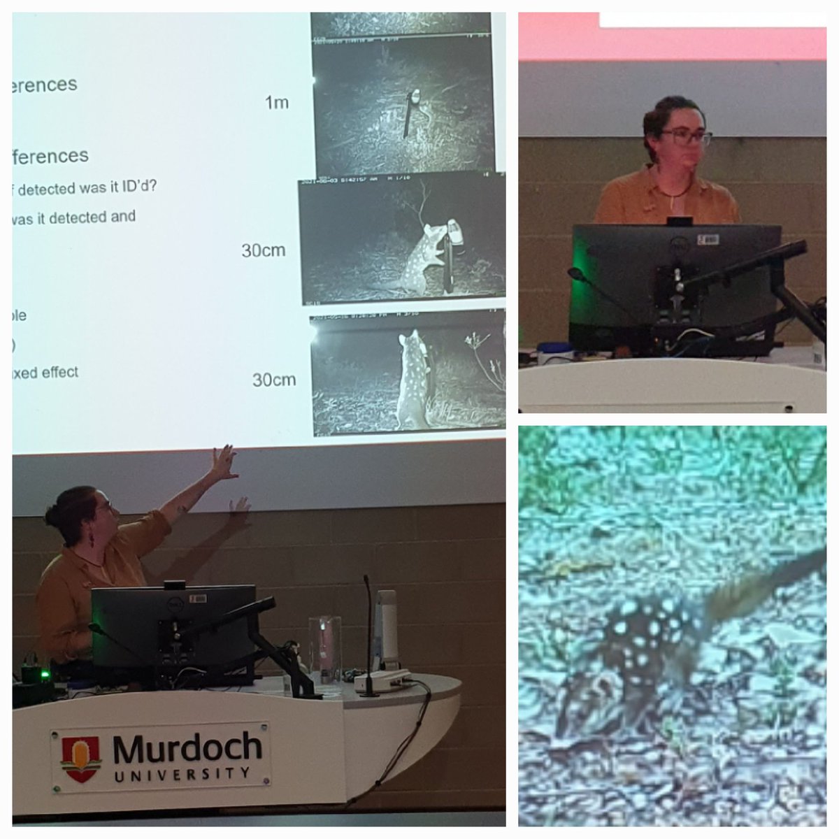 Natalie Warburton tweet media