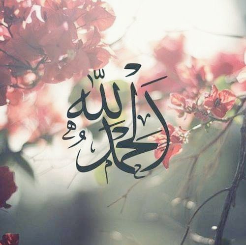 الحمدلله على تجدد العافية وبقاء النعمة، الحمدلله عدد أيامنا التي لا نشكو فيها وعدد النعم التي لا نحصيها ..الحمدلله حمداً كثيراً