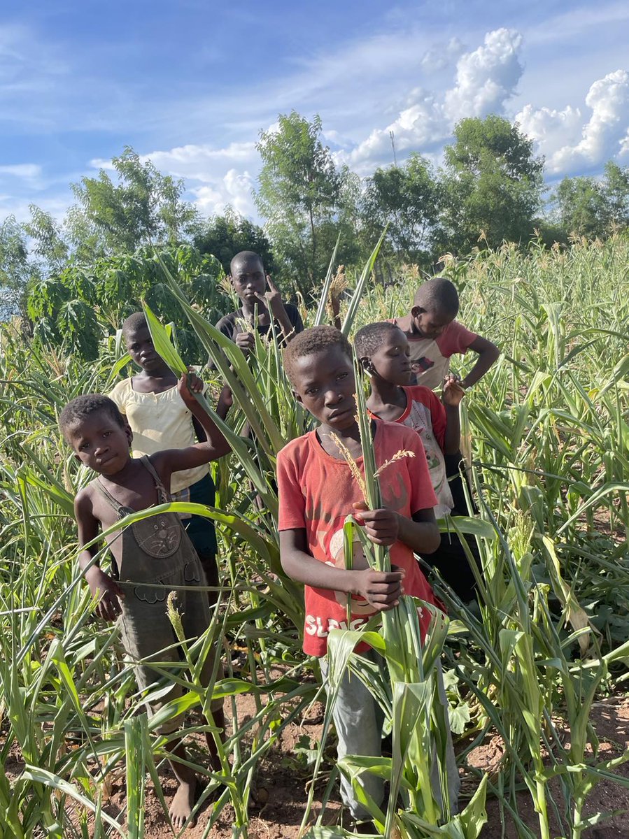 Severe drought and hunger is impacting rural Mozambique. If you can, help send food to a community Victorians and local choirs have helped & care for over 25 years caiaconnection.ca #yyj