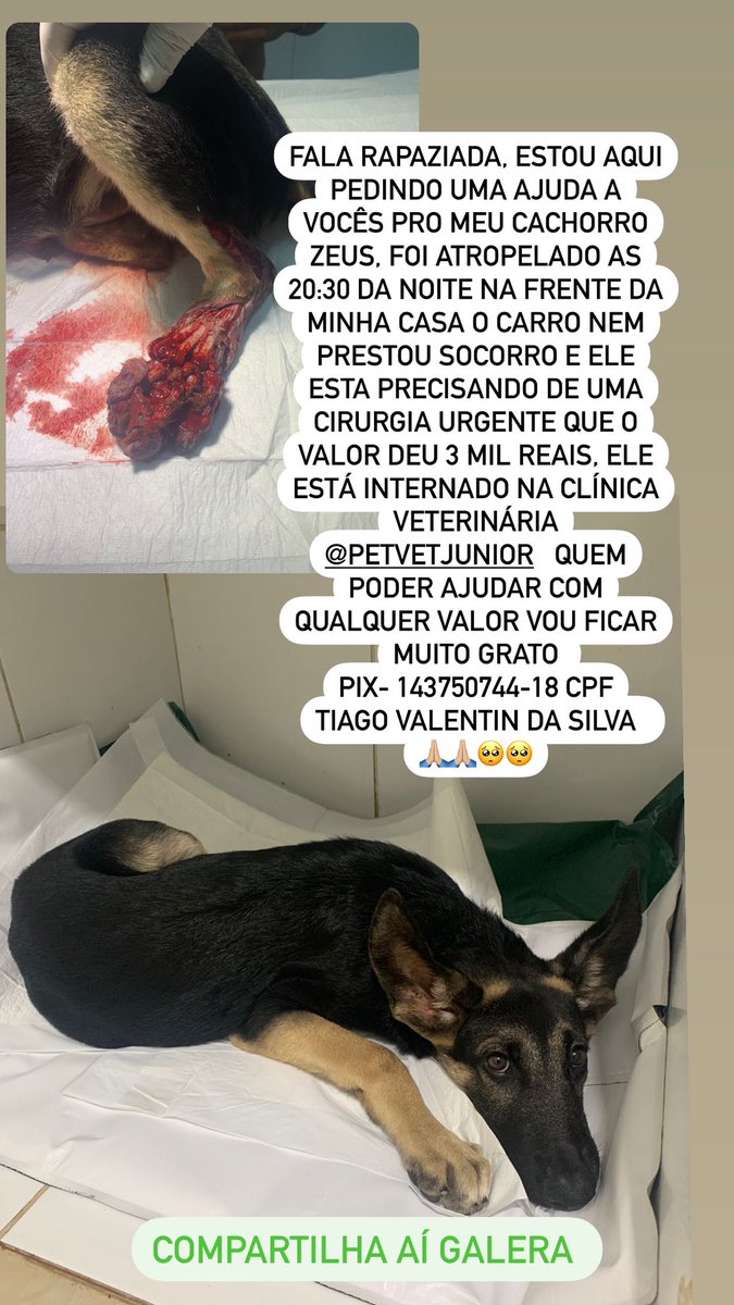 TiAgovalentin02's tweet photo. @Graziialmeidda_ @ElvisNeiff 🙏🏼🙏🏼💔 https://t.co/NhVdgvF57a