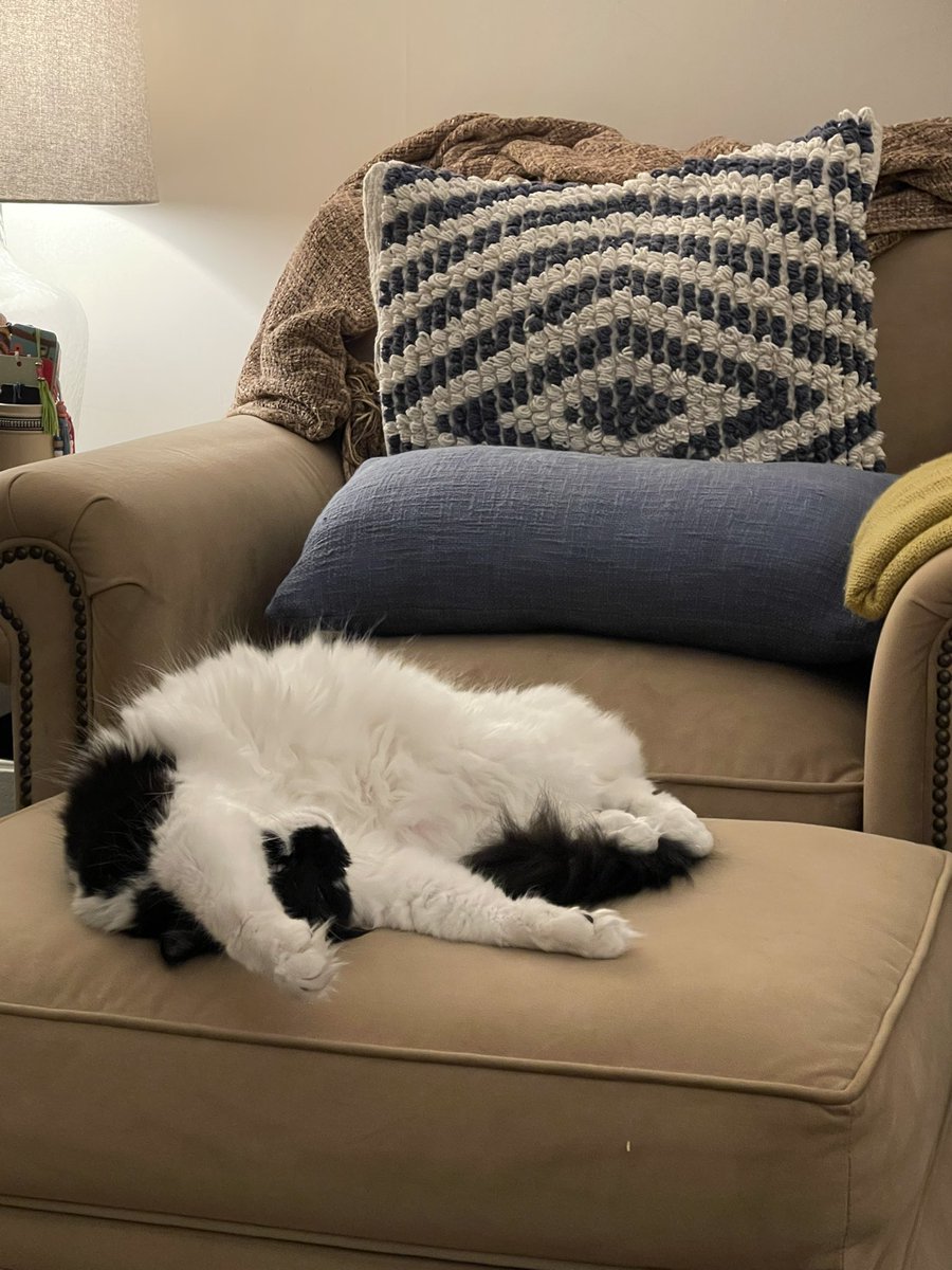 With rain and wind in the forecast for this weekend, I have a feeling our cat realized he might as well go ahead and settle in for a couple days of laziness. #CatsOfTwitter #lazyweekend