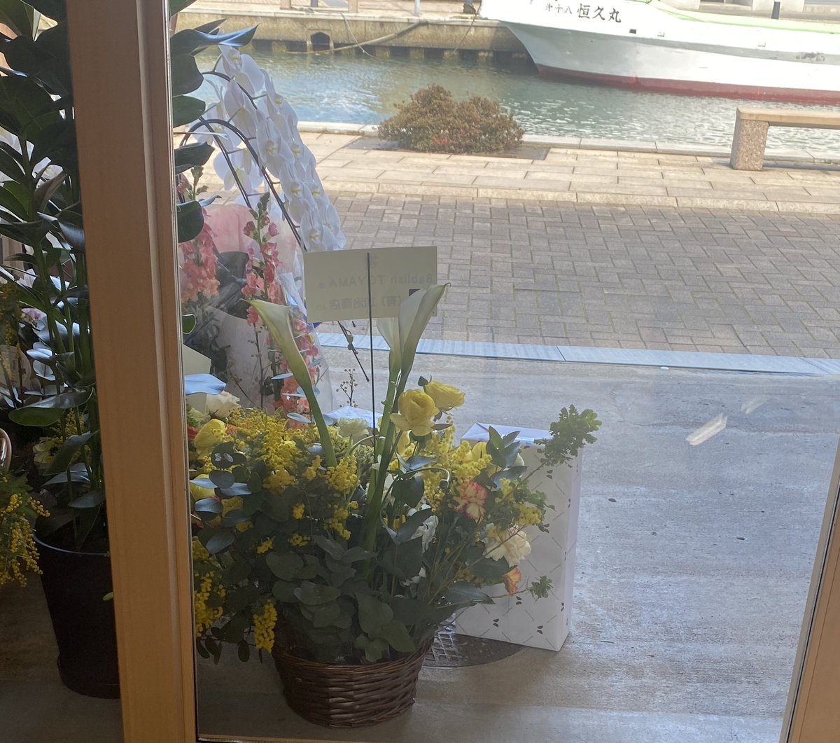 yuka_aoihito's tweet photo. 新湊きっときと市場→内川に移転した
#8ablishTOYAMA 本���開店㊗️💐

乗ったことないけど遊覧船を目の前に
まったり良い雰囲気😊 https://t.co/InmkYBdMtw