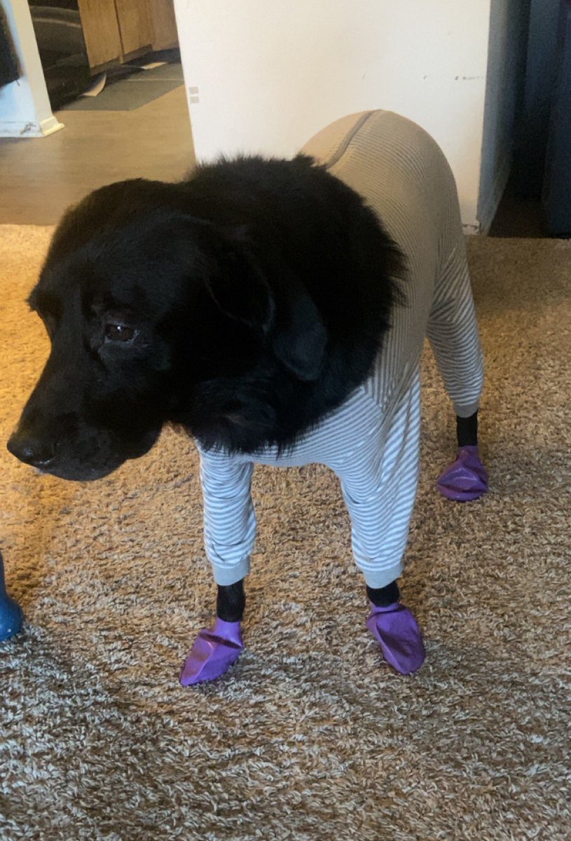 SAMBARR0S's tweet photo. Pupdate: https://t.co/aU5ndcZnif