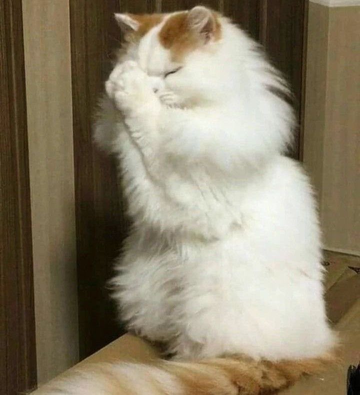 spookycaat's tweet photo. please taygod do not let me wake up to taylor singing crazier as a surprise song amen https://t.co/8dzBCWqpTL