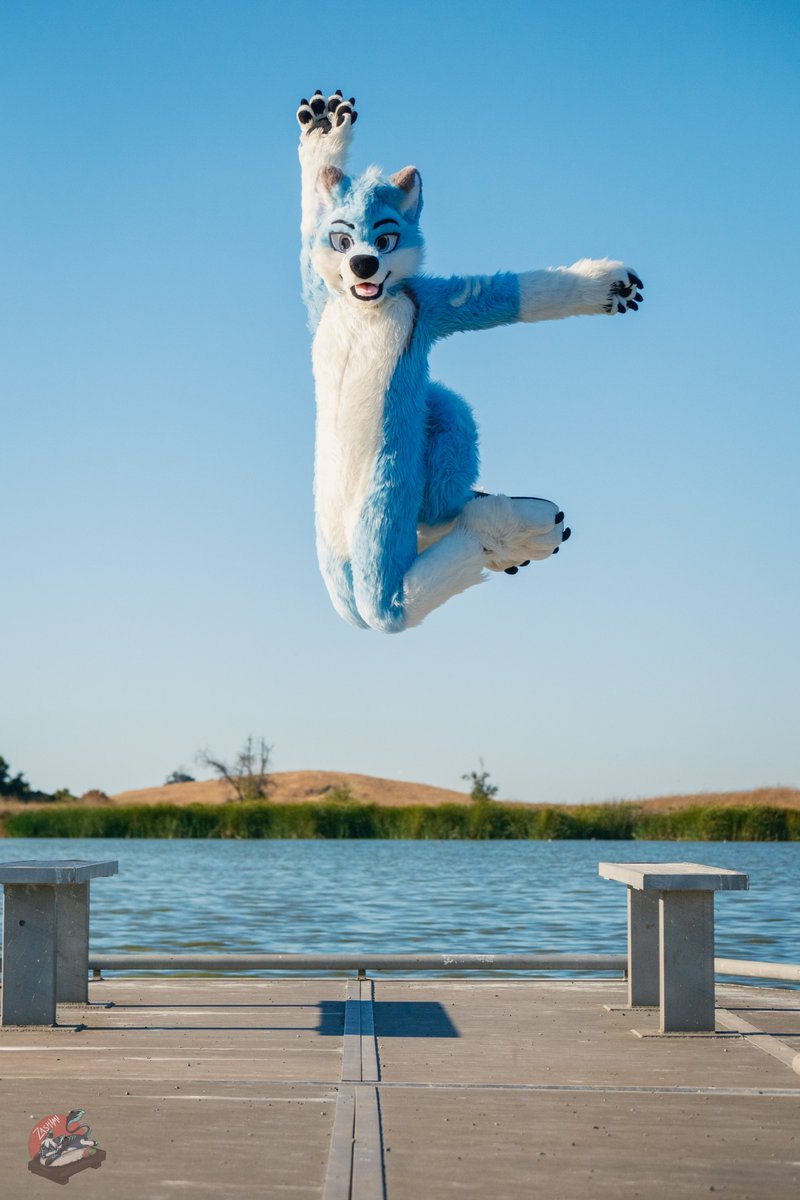 jumping ahead this weekend! (i hate daylight savings 😭) 📸: @BluLeggy 🧵🪡✂️: @wolf_daz #FursuitFriday