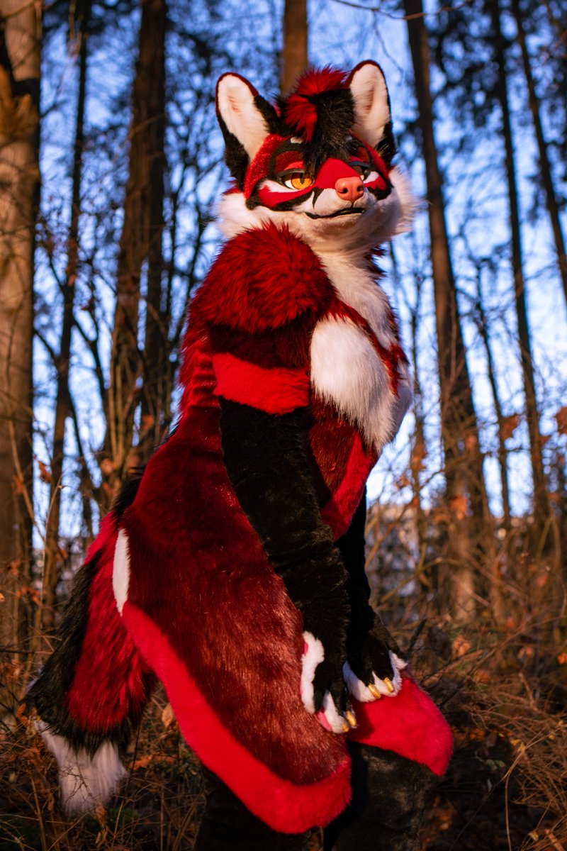 You spot a cute vixen in the forest. WHAT DO?!

📷 <a href="/YaltaWuff/">🐺 Yalta Wuff 📷</a> 
🧵 <a href="/MidnightMkrs/">◇ Midnight Makers ◇</a> 
#FursuitFriday