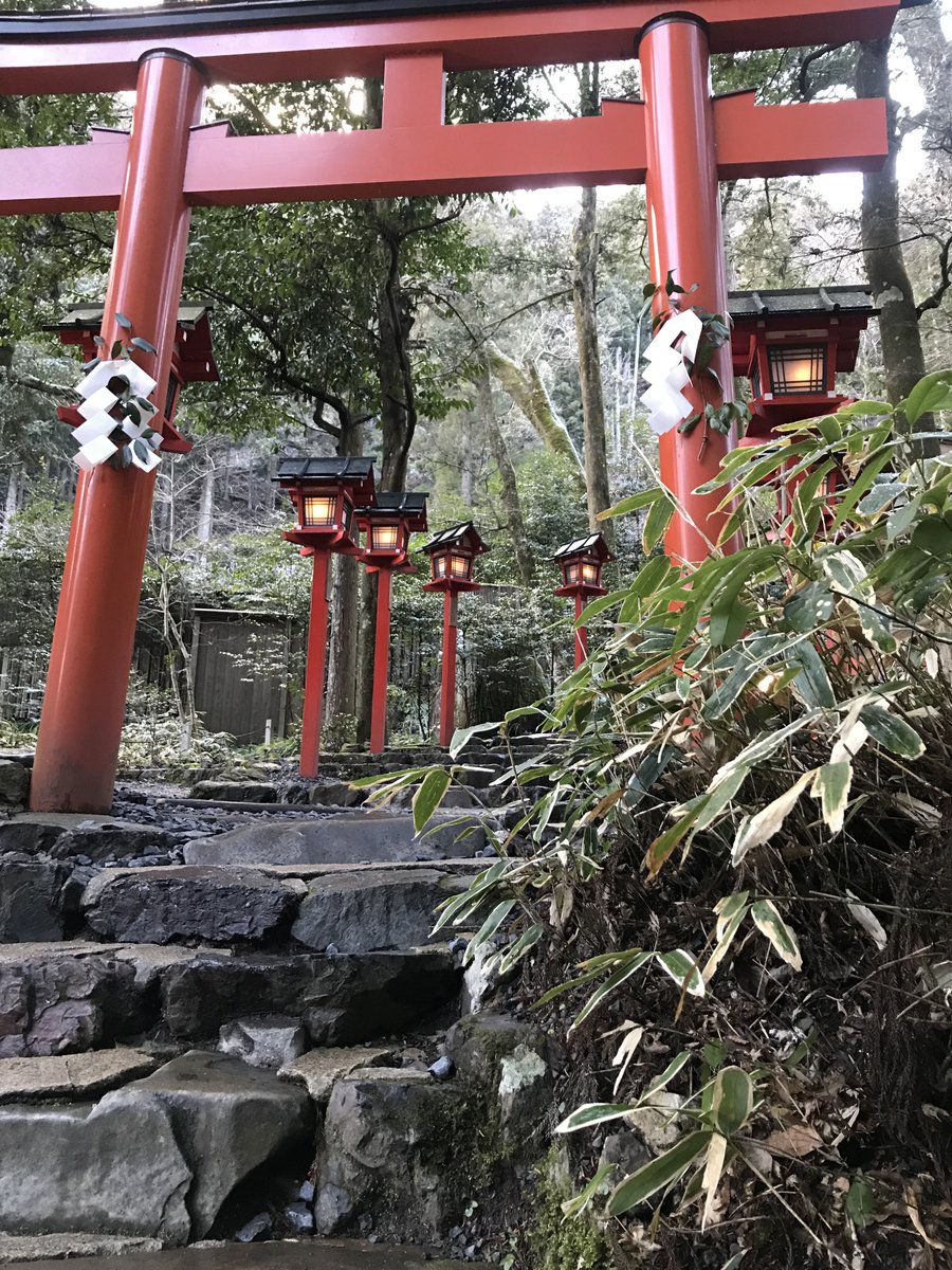 no humans tree stairs outdoors scenery traditional media torii  illustration images