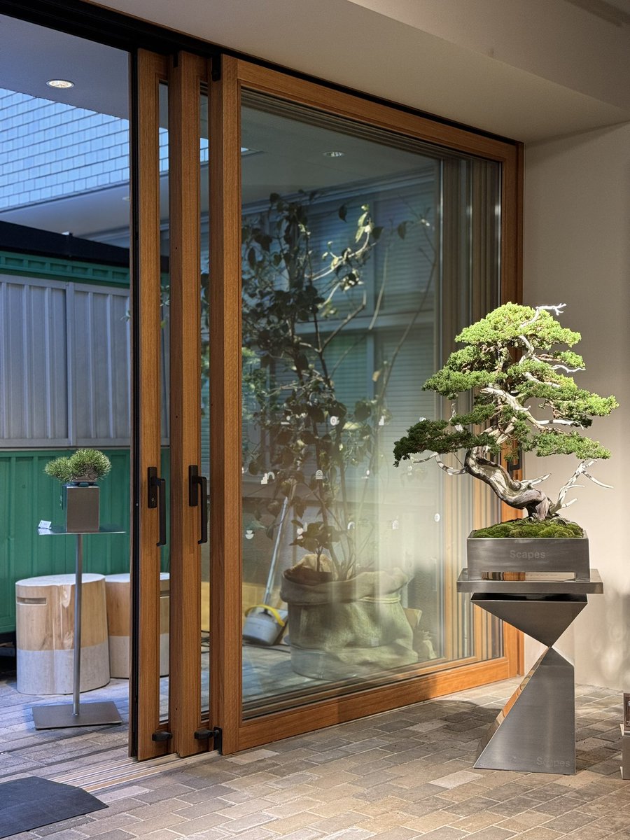 Scapes 盆栽 アクリル 鉢 盆栽鉢 スケープス 125328-3-