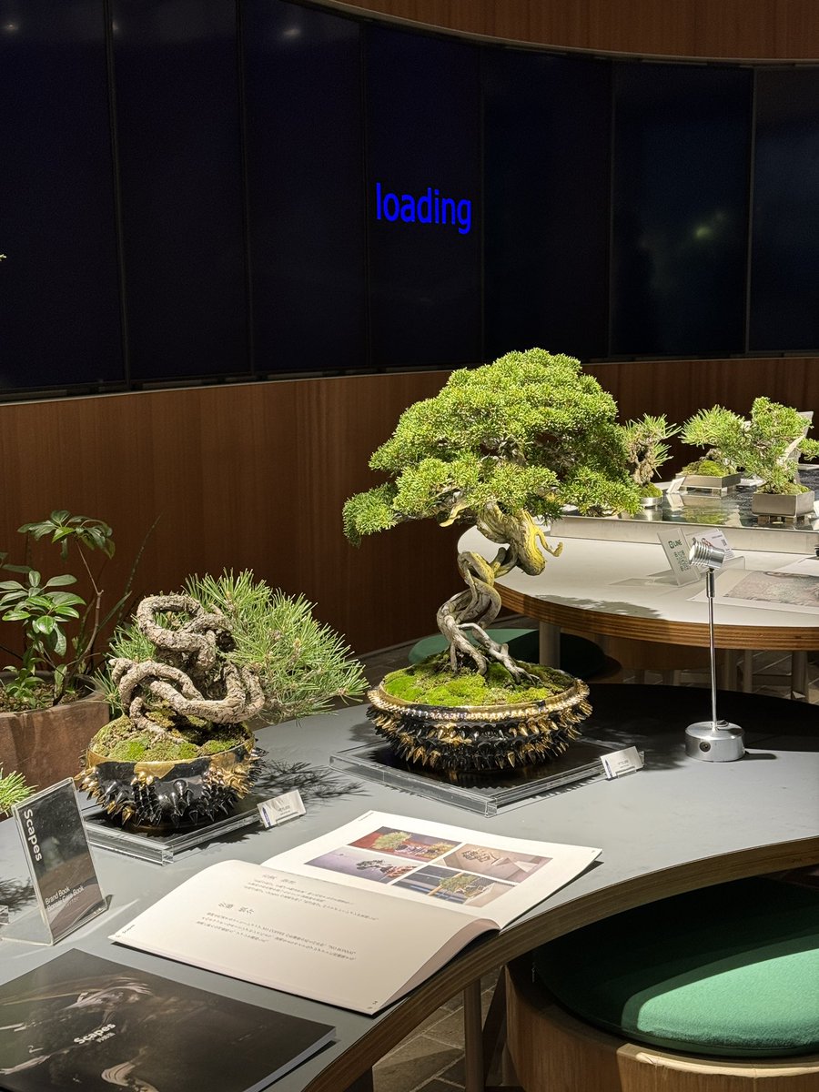 nobi's tweet image. #artfairtokyo に来てる人に、国際フォーラムから徒歩２分の #SLITPARK (HALL C向かい、EPSON横)で行われてる #Scapes のかなりアートな盆栽も見て欲しい！
21時まで！