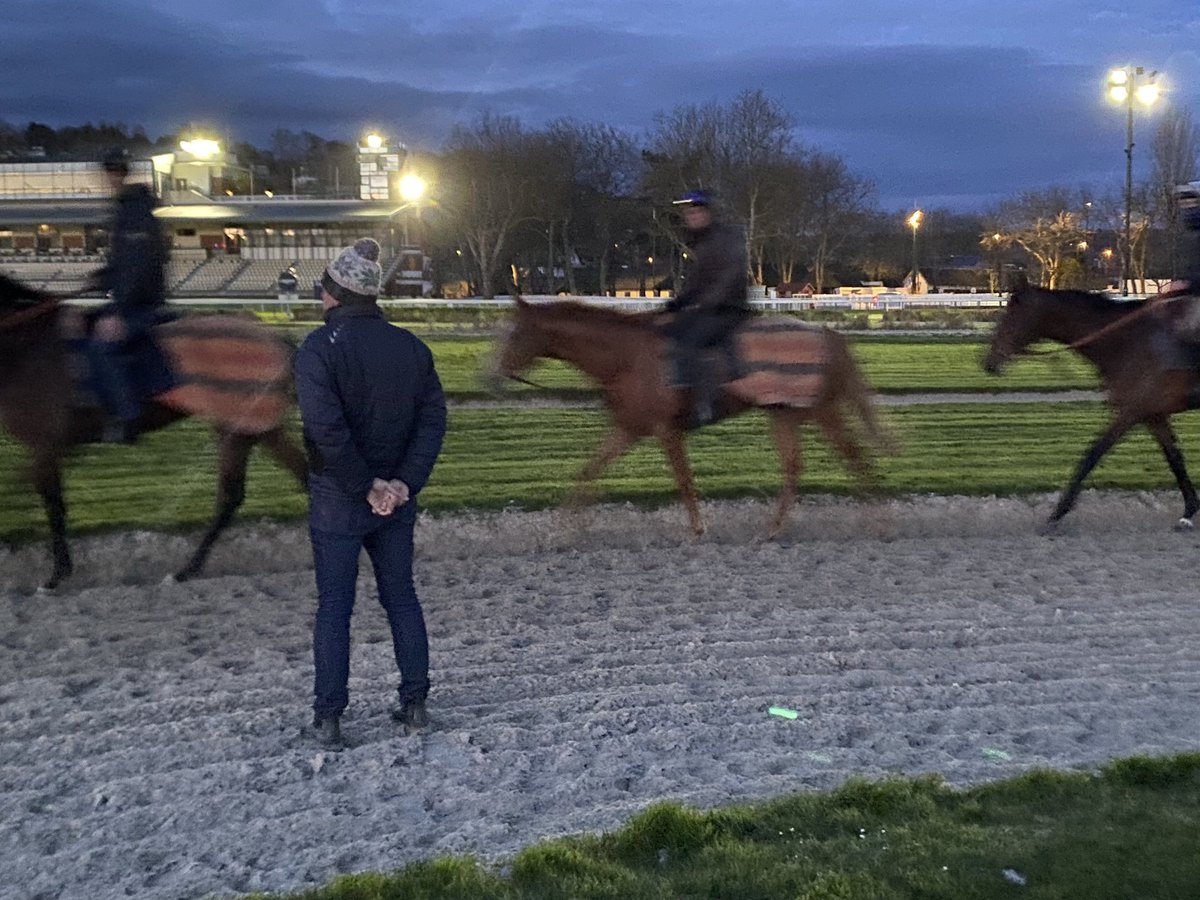 Ecurie Vivaldi tweet media