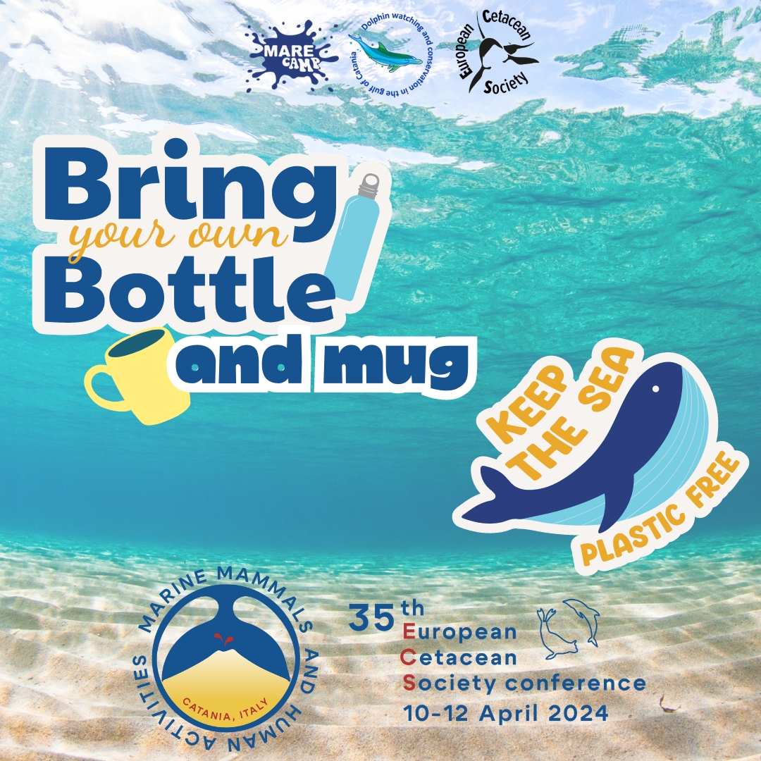 European Cetacean Society (@eurocetsoc) on Twitter photo #ECSconference participants have always shown laudable care for the environment!
The #35thECSconference in Catania is committed to reducing waste and encourages you to bring a reusable water bottle and coffee mug. Make a difference individually, and unite for change!
<a href="/Marecamp_CT/">Marecamp association</a> #ECSconference participants have always shown laudable care for the environment!
The #35thECSconference in Catania is committed to reducing waste and encourages you to bring a reusable water bottle and coffee mug. Make a difference individually, and unite for change!
<a href="/Marecamp_CT/">Marecamp association</a>