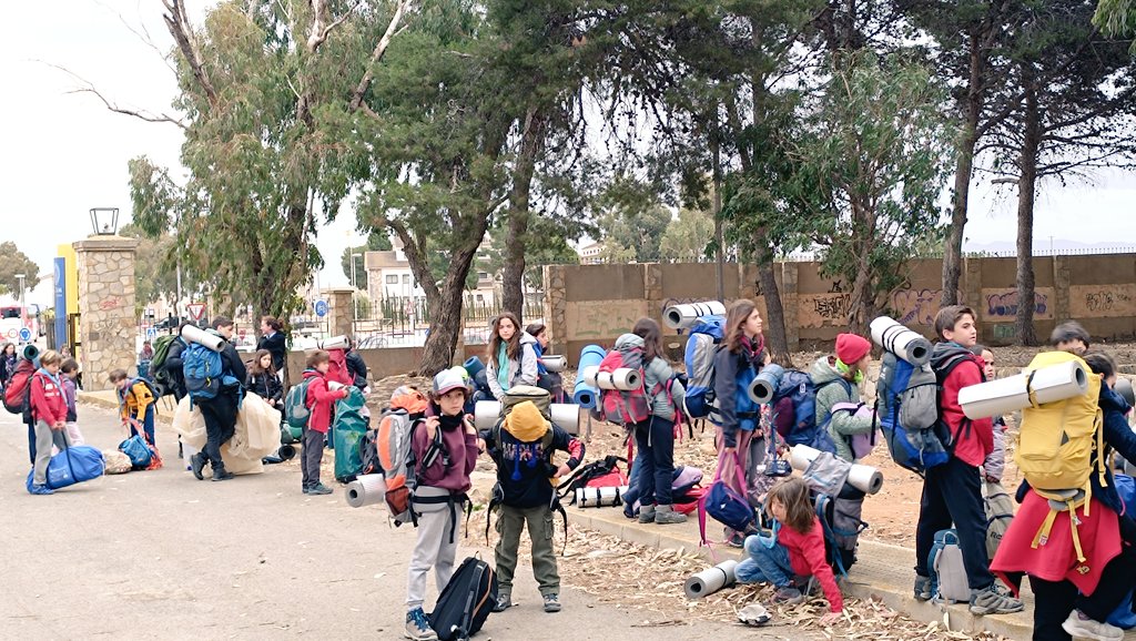 UCAM_Cartagena's tweet photo. 📢 Este fin de semana nuestro #Campus acoge el Evento Regional de Exploradores de Murcia, organizado por @asde_exmu y @SalesianosCT

✅ Casi un millar de pequeños de una treintena de #manadas van a disfrutar aquí de dos jornadas muy especiales de convivencia y encuentro https://t.co/iFBAReli3b