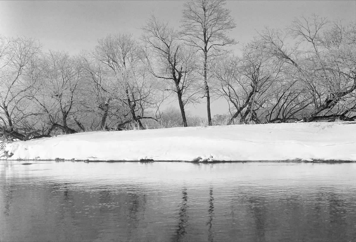 カヌーから見る朝の極寒の釧路湿原。

Leica M6 × Ilford XP2 SUPER400

@leica_camera @ILFORDPhoto 
#leica #ilford
